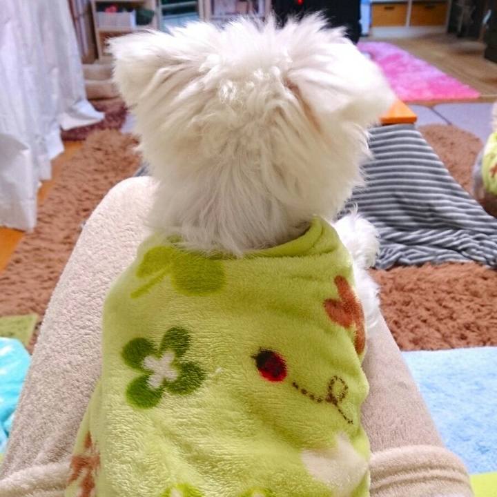 A9575644 fa9d 4a2c a759 0bd2649f8ecc