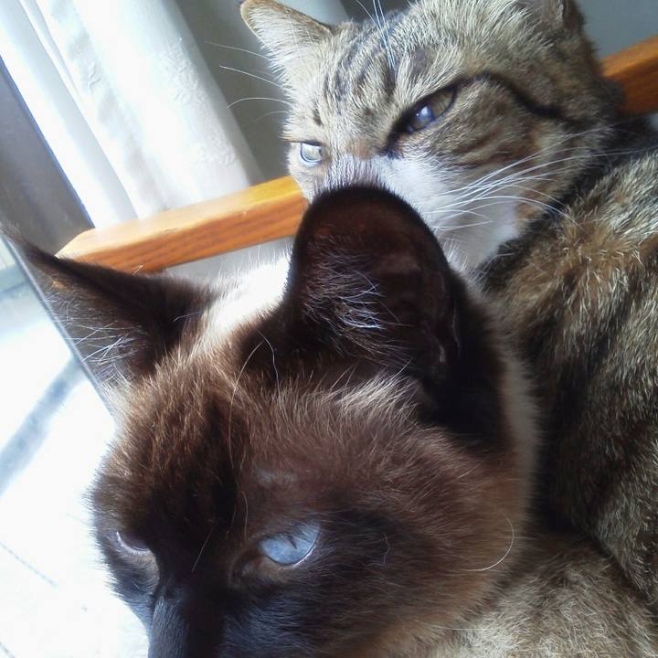 A957690b fe7f 4bcd ad15 449b20015a7b