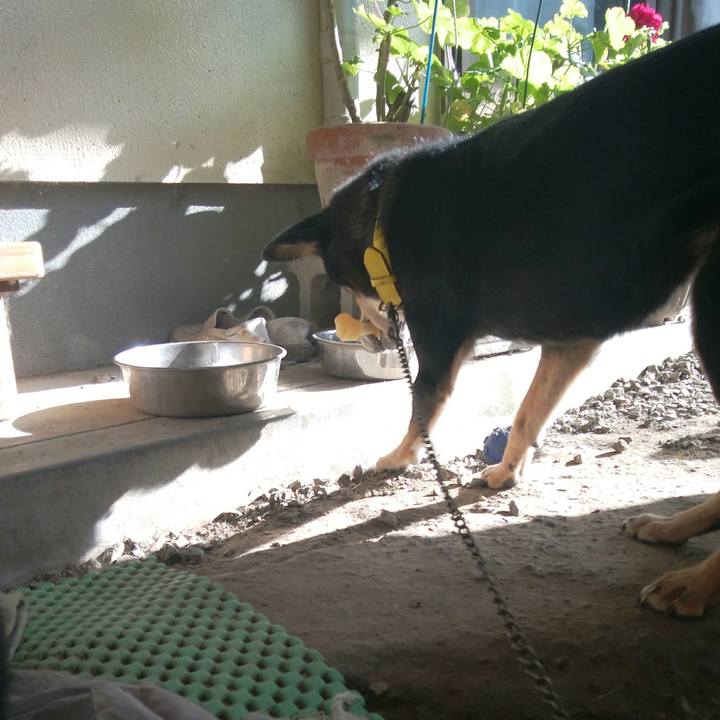 A957caaf be69 42a9 a2b5 13f5472f7aae