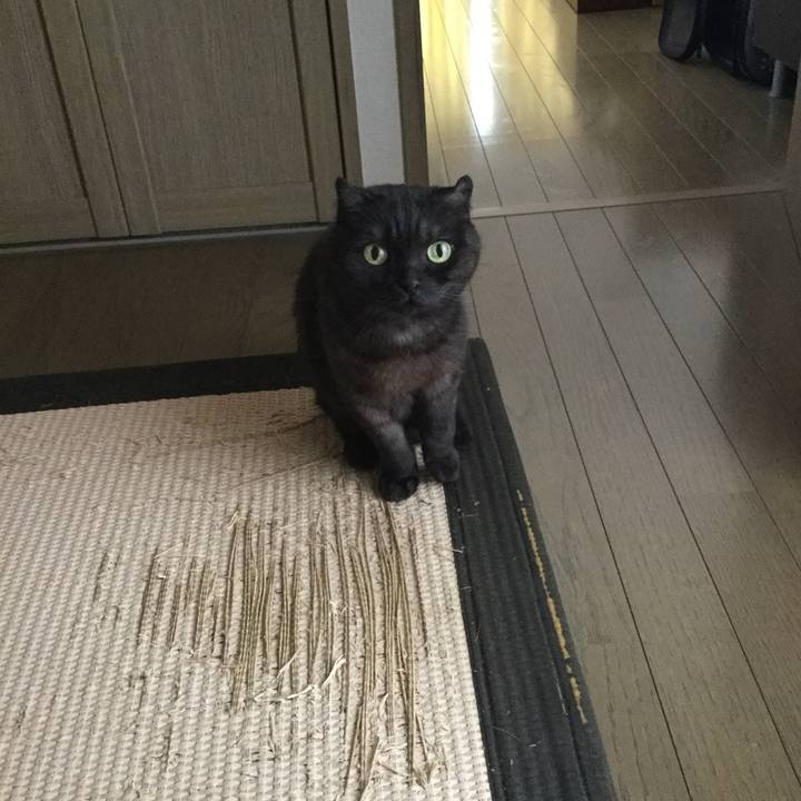 A957d0c7 7fd8 4d0d a62d 71ab88d31543