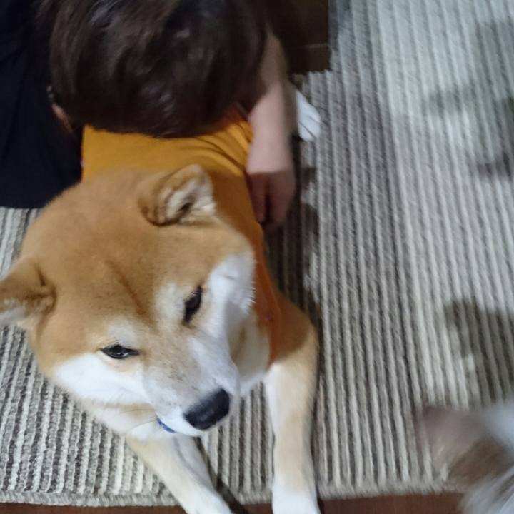 A95839b9 7060 4412 816a 026139cf38df