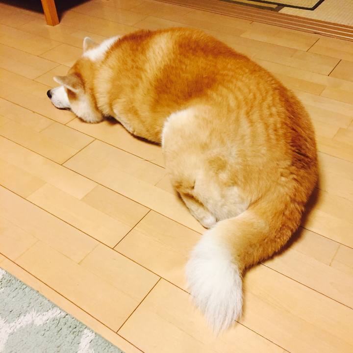 A95867f6 cc88 453a a729 10e28a640cc6