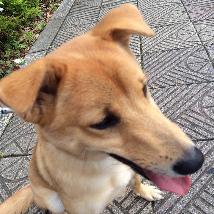 A958b511 b6c7 46e9 aa97 41ed41334f23