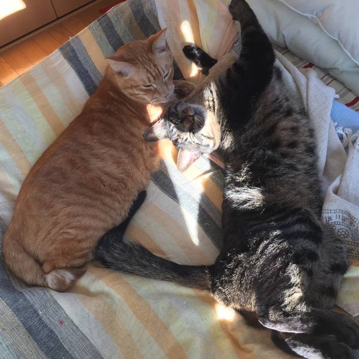 A959146e 4d85 4e9d bc3e 2cb11882b7b2