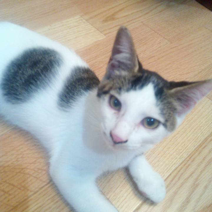 A95934c2 63bf 4304 801e 7d2625c97950