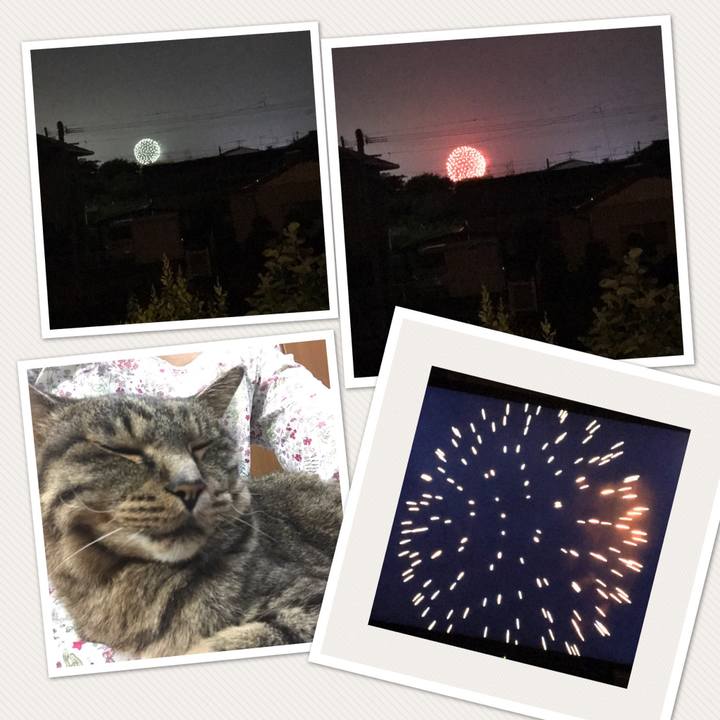 A9595388 5b5f 4bdf 8392 0588cee47b8f