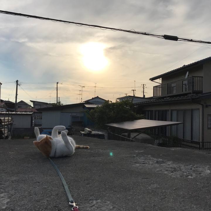 A959866c 60f1 41a1 a356 d72f51a8bf31