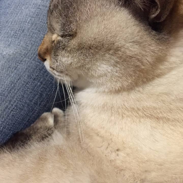 A9598693 1c68 4c50 b1db c8fcbbf0530e