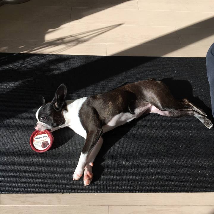 A9599f1f 2ab2 4fe6 bc89 5d451be00d3d