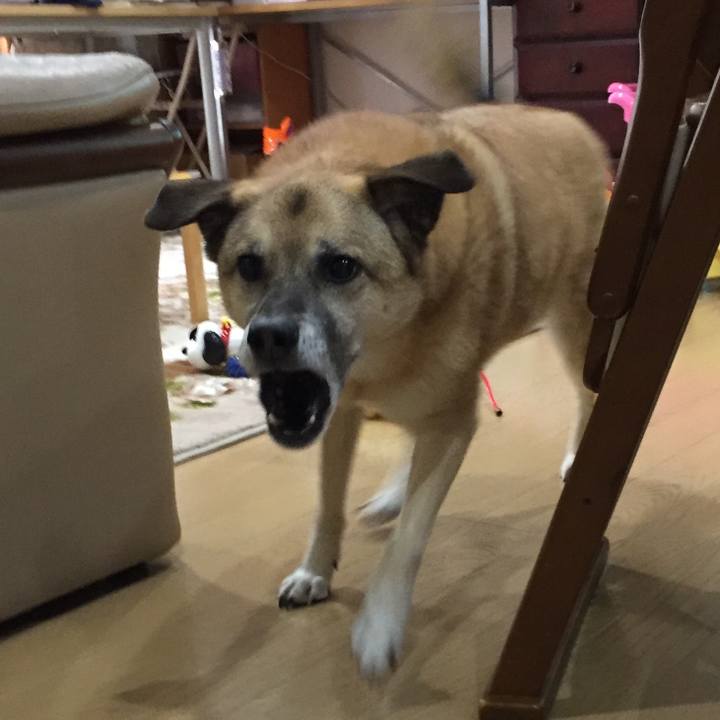 A95abf73 ccbe 4955 a143 5c6d58ae4119