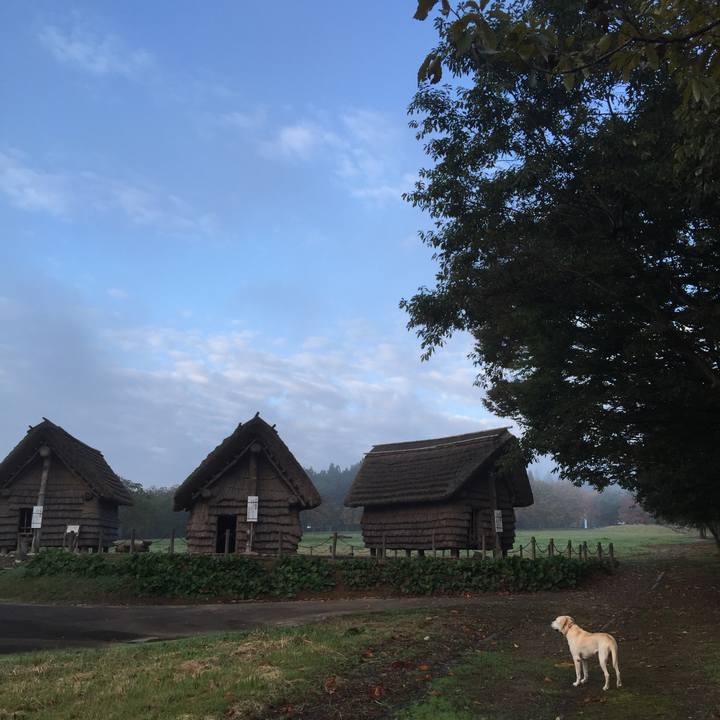 A95ad366 c06c 47c5 9338 a8c5418e5b97