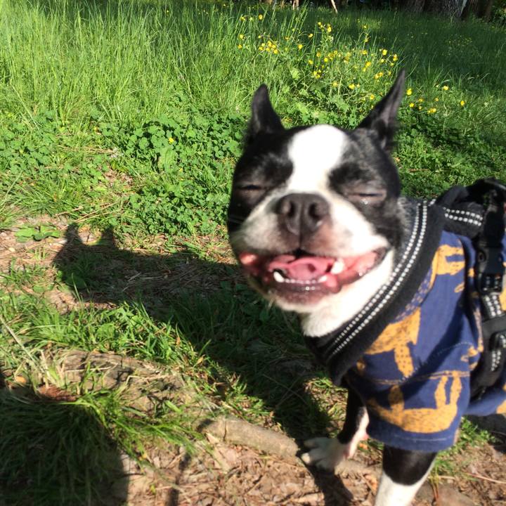 A95ce920 2f26 449a 814f c0d89d9c4b7f