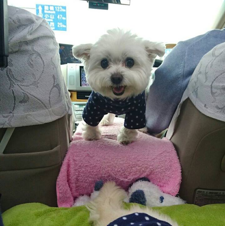 A95cf354 fb94 4a69 80b5 695db76c6b1a