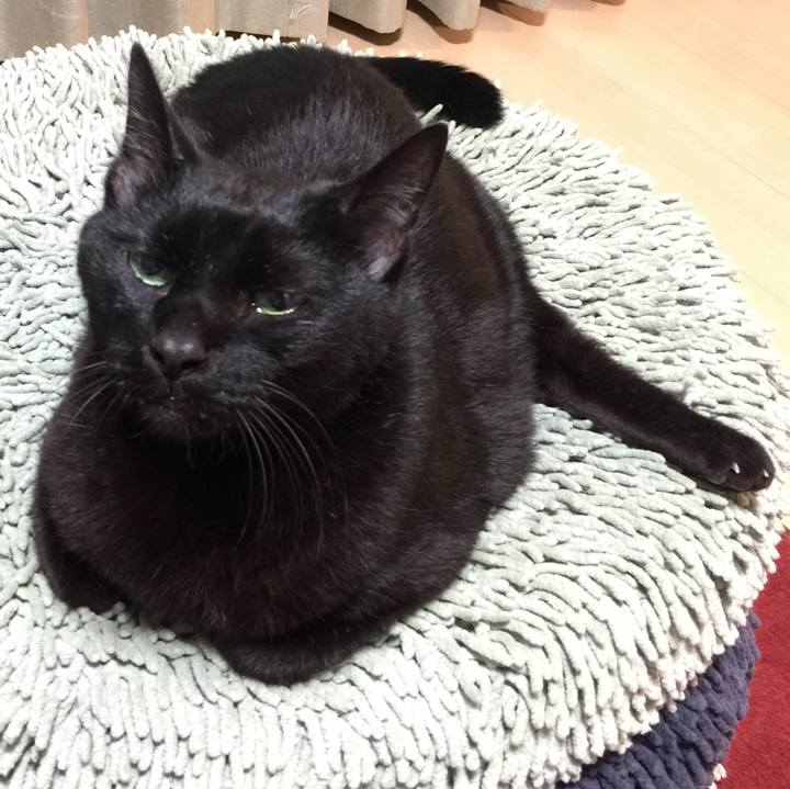 A95d2b29 e974 4244 aab9 965d6d3f4c7f