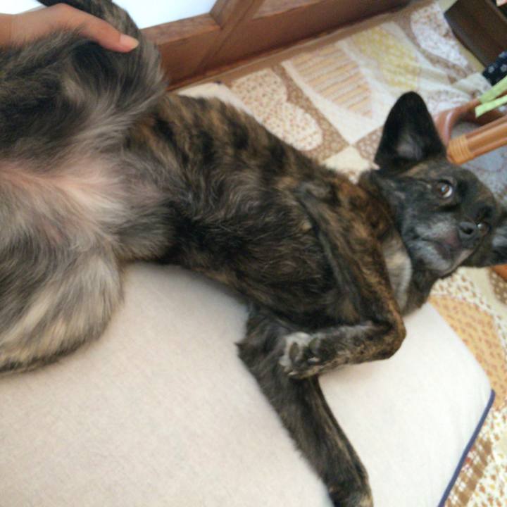 A95d47b6 e8bc 47bd bb2a 326514dff798