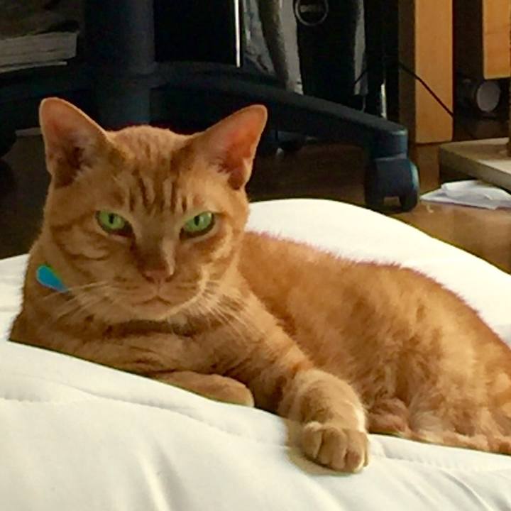 A95da451 305d 412e 9c06 da6c6193ceb9