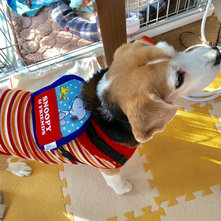 A95dc973 c26d 4e98 ade3 0d578a8473a5