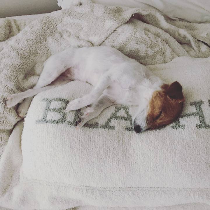 A95fb624 30e3 47af 91db 7f48ff8ddfc0