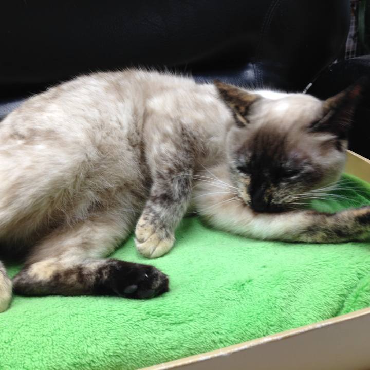 A95fe052 fd63 44b3 aeb4 60f494360323