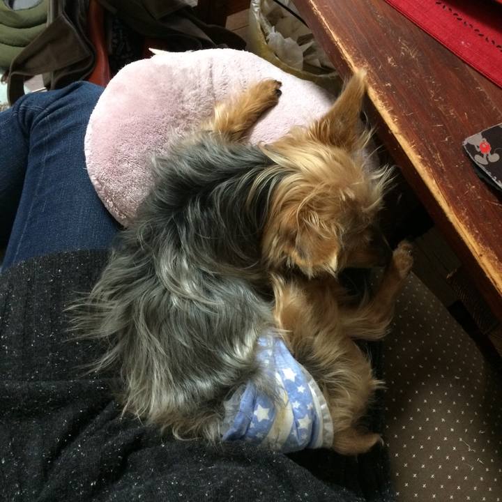 A96022bd 17b0 4051 9608 fe94aff0ef8c