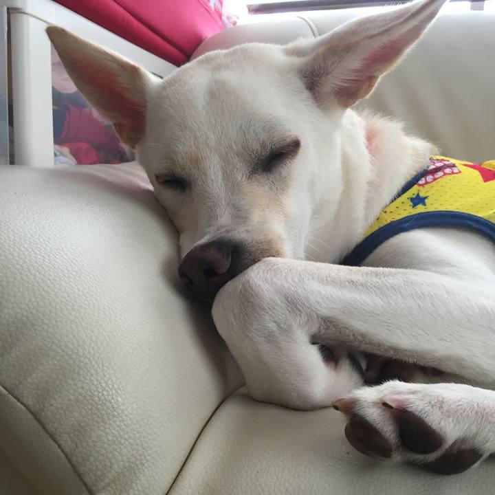 A9603130 395a 4548 9fb0 61b9f8848166