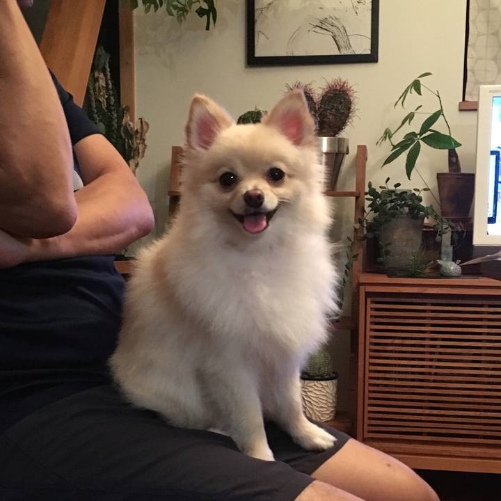 A960570e d8b6 4463 b021 b159ac2920b1