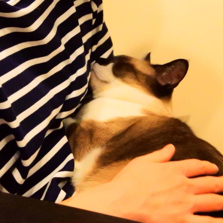 A960a5e1 96fc 4d08 89fc 12e3debe8a63