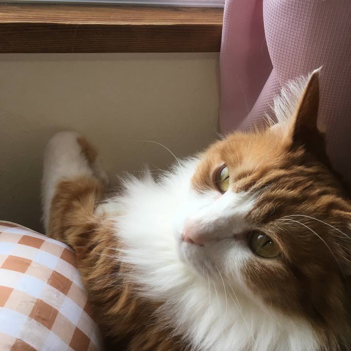 A960bd8f 132c 40eb b626 179273999773