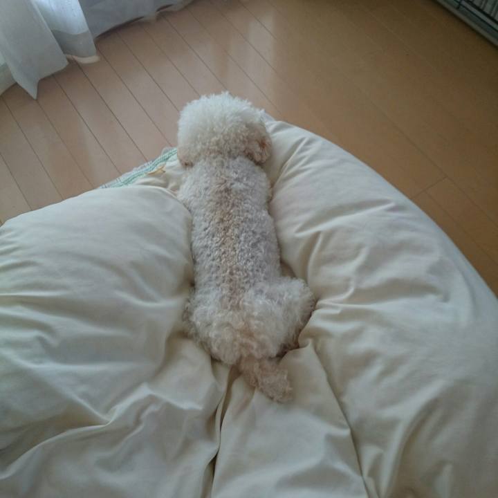 A960bea8 7a3f 48e4 bf4e 30adc968d638