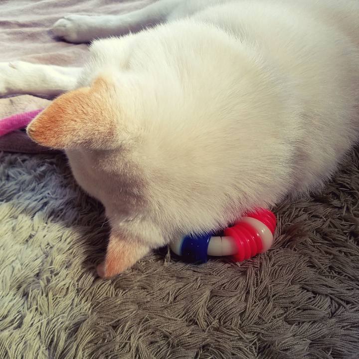 A960d8b1 5549 4924 9d83 132838bc55fb