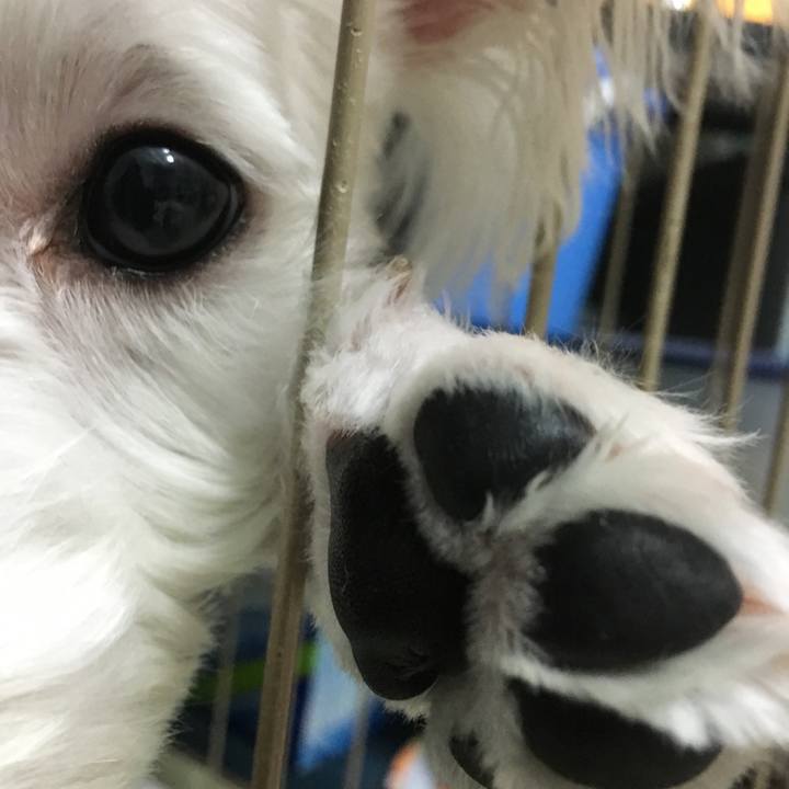 A9615e4a d642 47c7 87ef 07173bd4e3b5