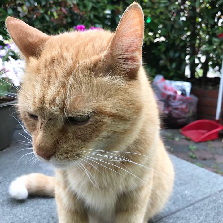 A9616d67 db56 49eb b3e0 1f1ac8878bb9