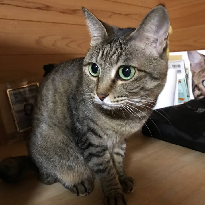 A9617752 ea6a 45e0 a706 5f35e1436be2