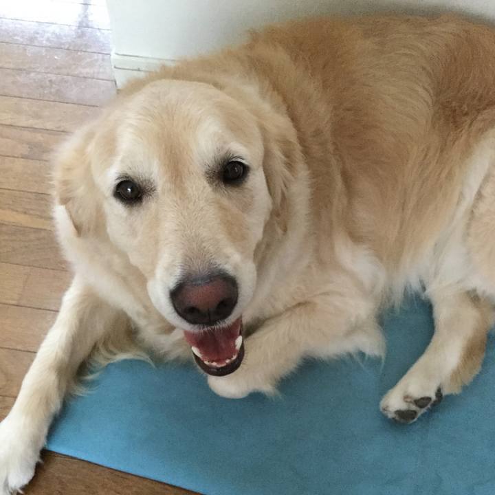 A9622d37 2098 4e62 9ca1 364bcf384403