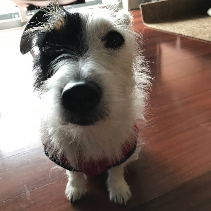 A96259c8 5715 4995 99af f6115e82654e