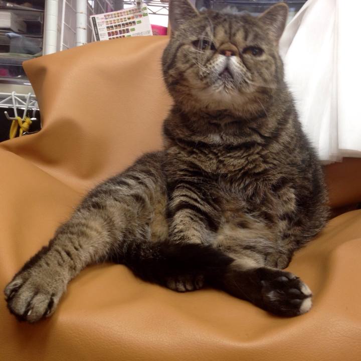 A9631376 df21 49b2 a056 992d5031b232