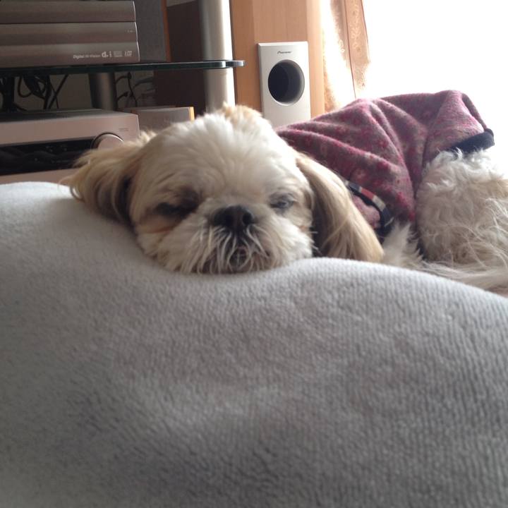 A963d891 250e 4cc5 ab30 b442805fff2c