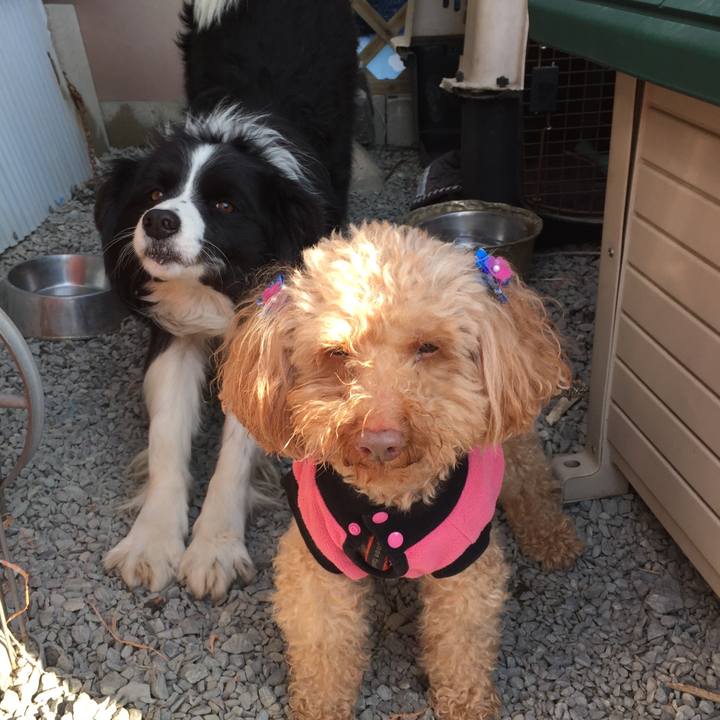 A9641377 22a7 4e7e b8a6 54c7fb78ac3b