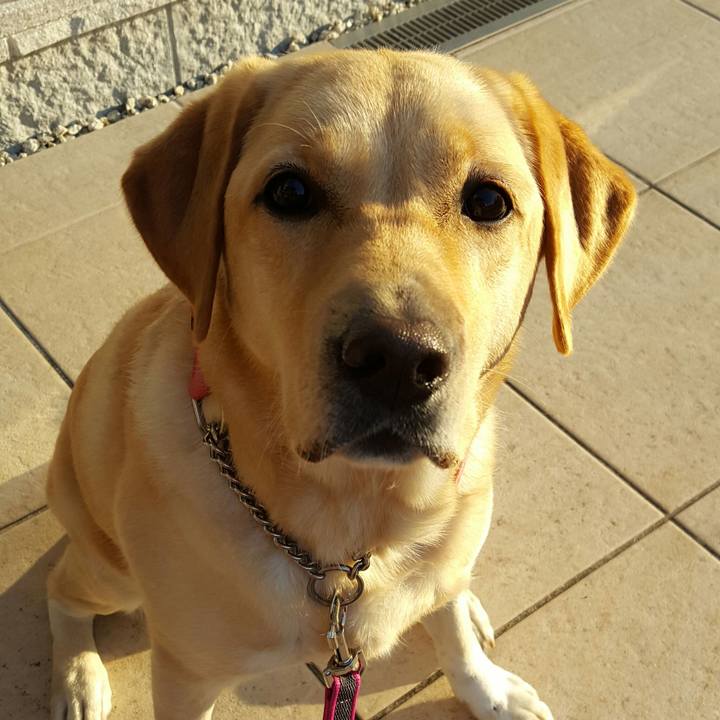 A964318b 948c 4a45 96f8 cfb0732addfe