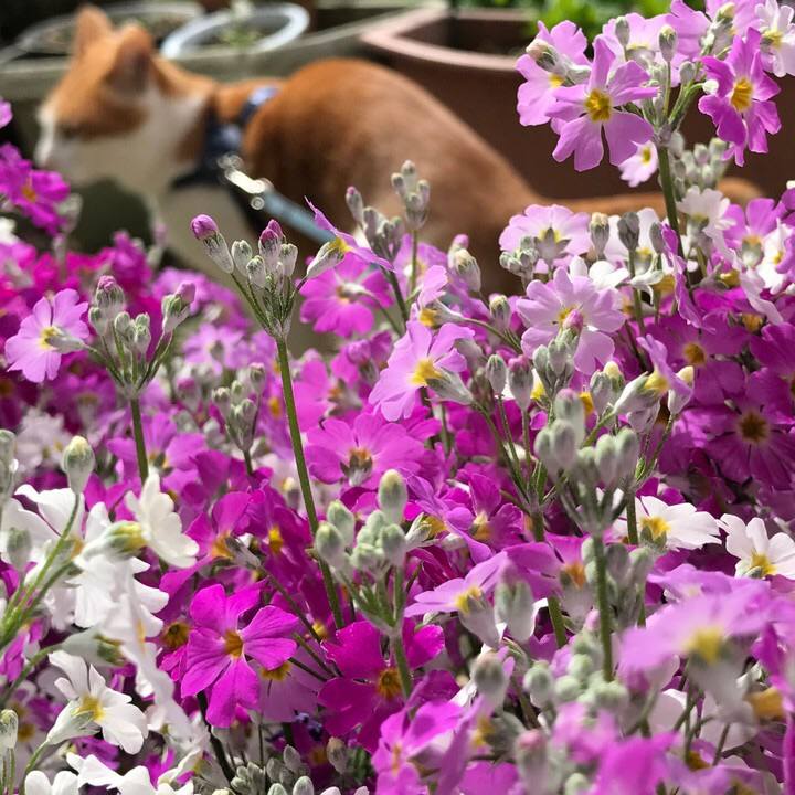 A9650b30 ea3c 4893 95a2 6677af4c3138