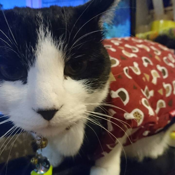 A9655e80 2422 4dc2 b883 e5792829d3f8