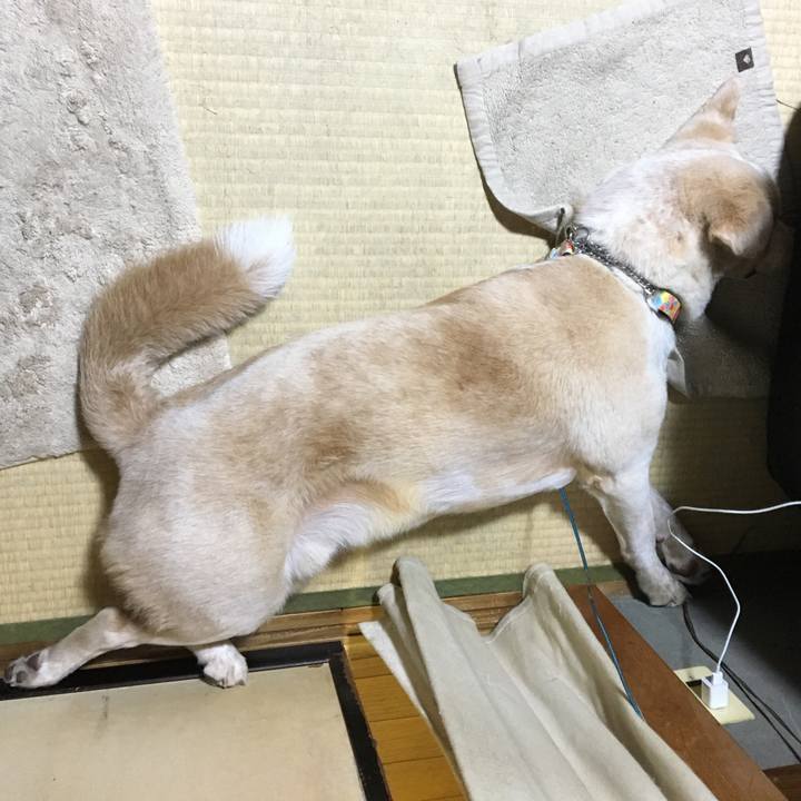 A965a266 6dc3 471f 83c0 503507a37ebb