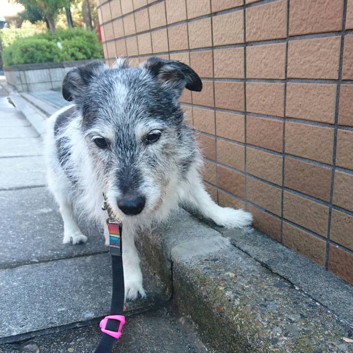 A96600c5 bcb4 4450 bd27 6358e0d543ab