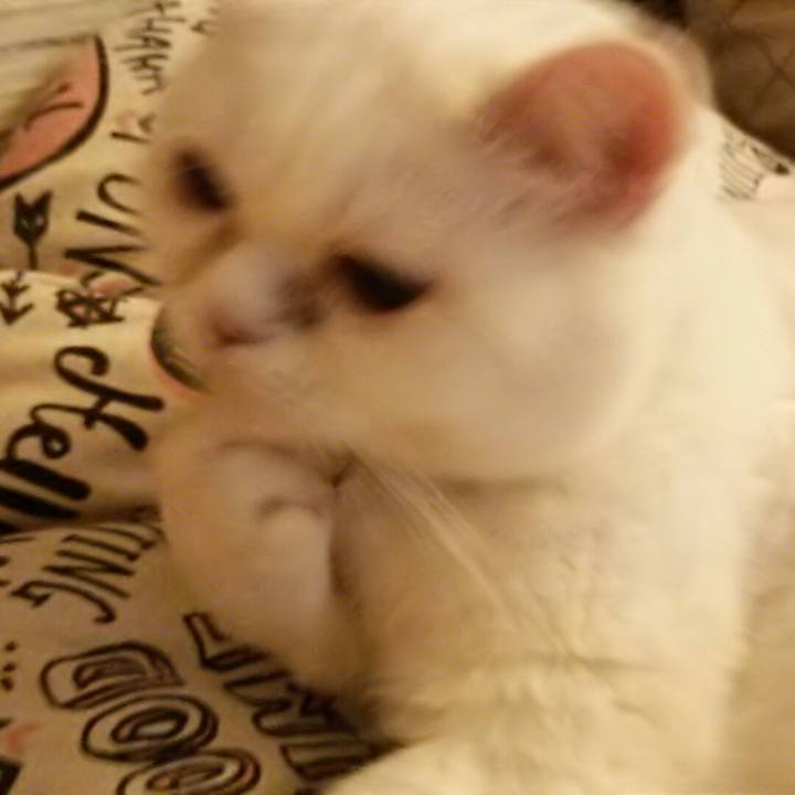 A9667374 a154 47c7 9108 7a1359a2e241