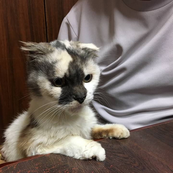 A9672ce3 257e 4e43 aa6d e9eab2aef1e2