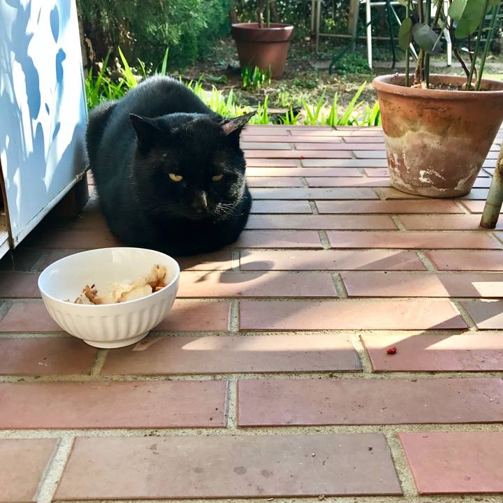 A9676201 85d9 4351 aa39 0fd0a30349f6