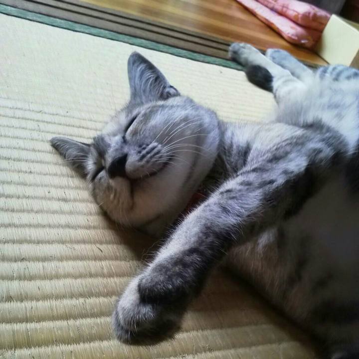 A96786aa 2718 44d1 80c9 e62fc746ba93