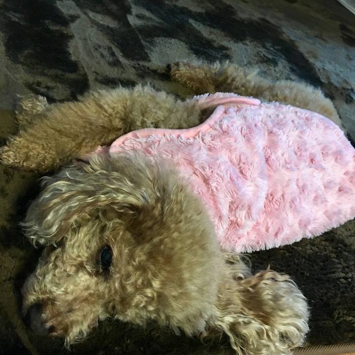 A96795c7 1bba 4281 8cc2 2d954aa7acd0