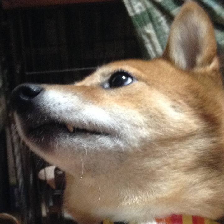 A967a814 1d60 4214 b12f 94e3f7f4d8b1