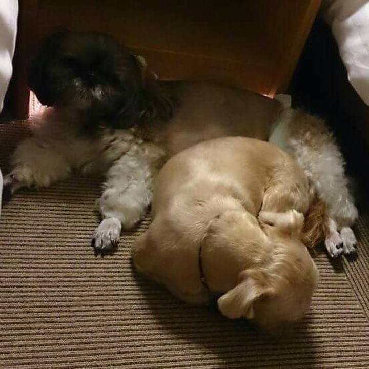 A967b318 4670 42c1 a271 409335f11892